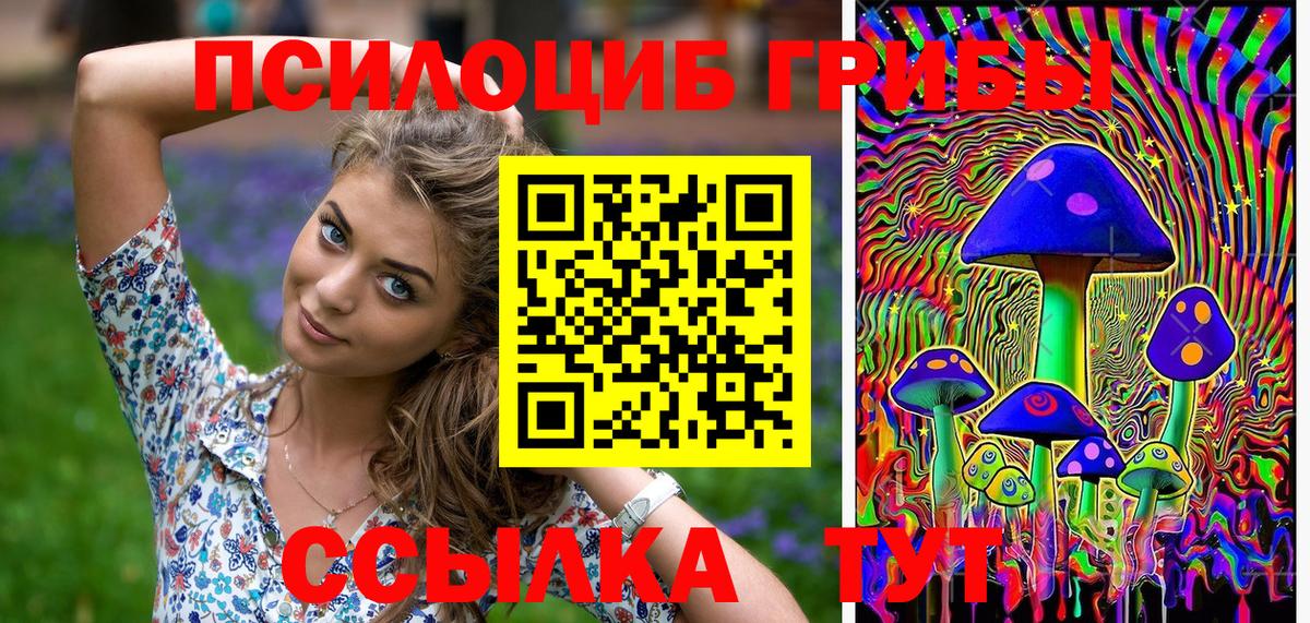Дербент  Псилоцибиновые грибы GOLDEN TEACHER  Псилоцибиновые грибы Magic Shrooms  магазин  наркотиков  Вход с VPN 